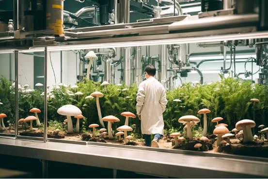 HIIWER Earns Multiple International Authoritative