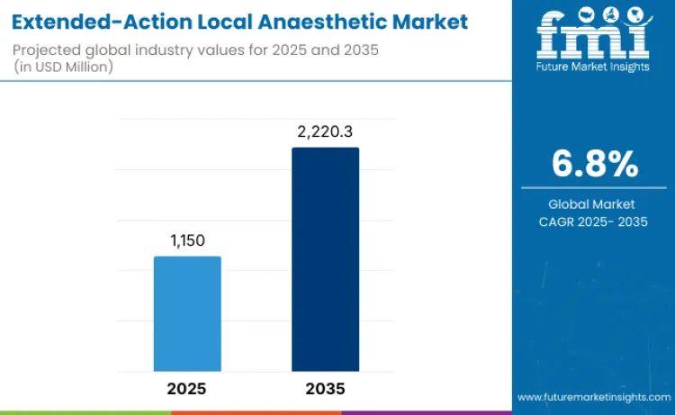 Global Extended-Action Local Anaesthetic Market Outlook