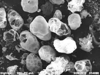 The Global Perlite Microspheres Market Is Projected to Reach USD