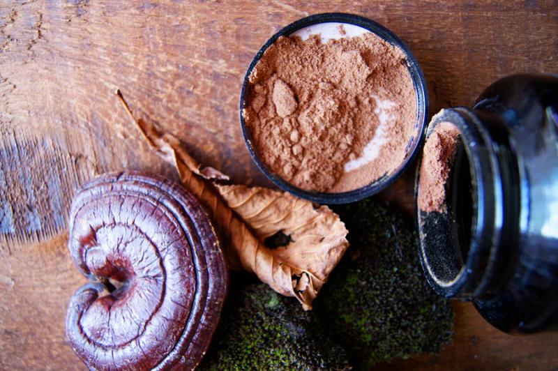 Mushroom Extracts Market