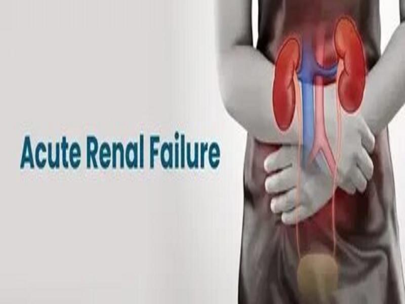 Acute Renal Failure Therapeutics Market