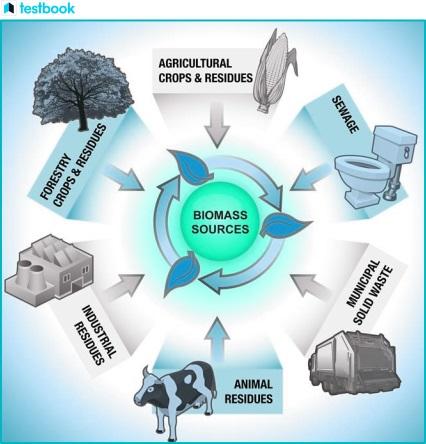 Global Biomass and Bioenergy Testing & Certification Services