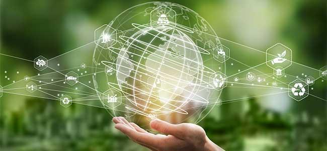 Sustainable AI Environmental Health Monitoring