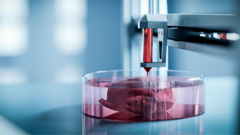3D Bioprinting