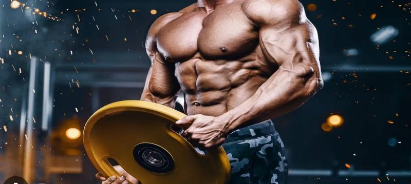 Sarms in Bodybuilding (Source: Freepic)