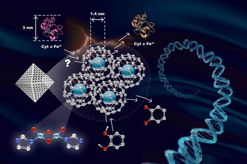 Nanozymes Catalysis