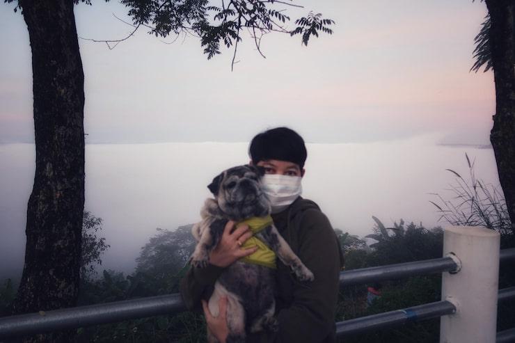 Why Public Awareness Reunites More Lost Pets Than Anything Else