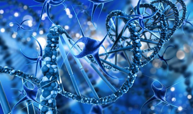 Mitochondrial Therapeutics Market to Reach USD 949.11M by 2035