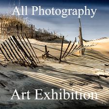 All Photography Art Exhibition Results Now Online & Ready to View