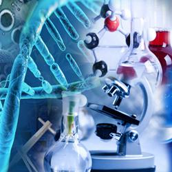 Global Circulating Tumor Cells (CTCs) Detector Market 2016