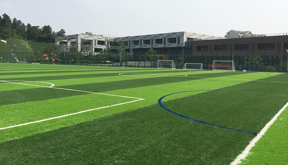The new CCGrass pitch installed at The British School of Nanjing