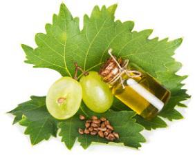 Global Grape Seeds Oil Market Size (Volume and Value), Sales, Sale Price and End Users Analysis