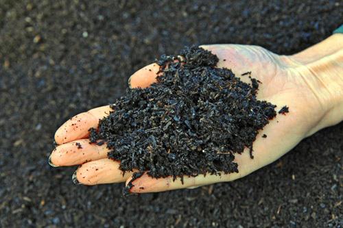 Biochar Market