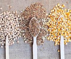 Bulk Food Ingredients Market 2016: Grains & Seeds, Herbs &