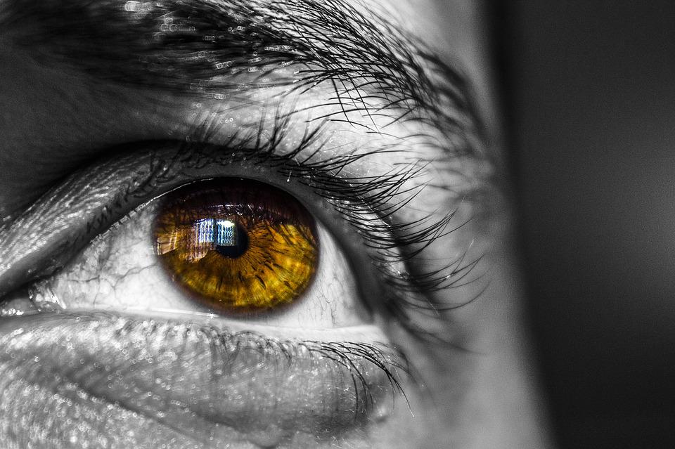 Eye Tracking Technology Market, Eye Tracking Technology, Eye Tracking market, Eye Tracking software market