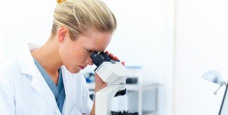 Label-Free Detection Systems Market, Label-Free Detection Systems, Label-Free Detection, Laboratory Detection , Laboratory market
