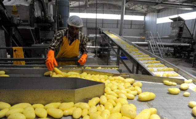 Food Processing Equipment Market, Food Processing Equipment, Food Processing Market, Food Processing
