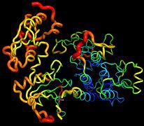 Fibroblast Activation Protein Inhibitors Market : Huge