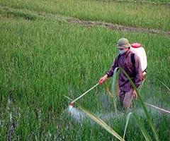 Crop Protection Chemical