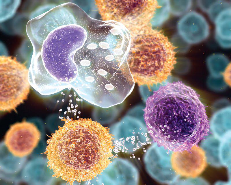 Cancer Supportive Care Products Market, Cancer Supportive Care Products, Cancer Supportive Care, Cancer Care