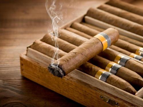 Cigars & Cigarillos Market will explore robust size & growth