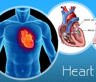 Prosthetic Heart Valves Market: Global Industry Analysis and Forecast to 2016 to 2024