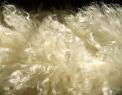 Pure Wool Sales Market 2017 by Manufacturers - Pure Collection,