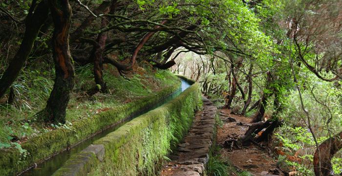 Levada of 25 Fontes.