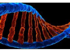 Europe Next-Generation Sequencing Market Size, Status and Forecast 2022