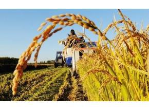 Sales Market Analysis: Global Intelligent Agriculture Sales Market Report 2017