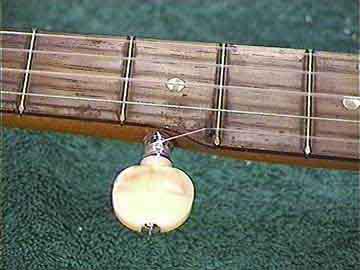 Five-String Banjos String
