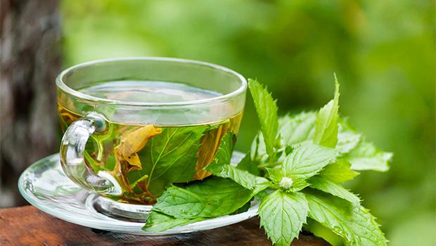 Global Green Tea Extract Market 2017 - Indena, DSM, Tate & Lyle,