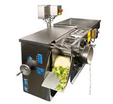 Fruit and Vegetable Processing Equipments