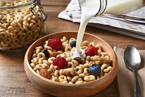 Cereal Ingredients Market