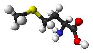 Global L-Methionine Market Outlook 2017-2022 CJ CheilJedang, Ajinomoto, Sekisui Medical,