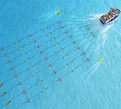 Global Seismic Survey Market Size, Share, Growth, Trends,