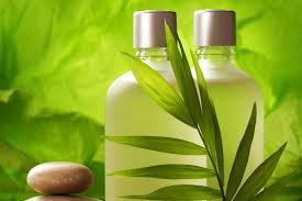 Natural Shampoo (Organic Shampoo)