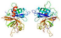 Tissue Plasminogen Activators market