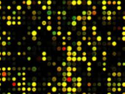 Microarray