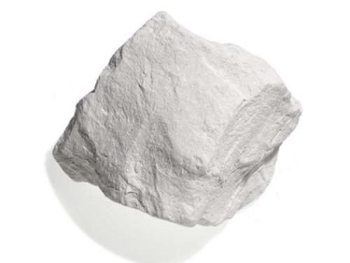 Global Diatomite Sales Market 2017 - Domolin, EP Minerals, Showa