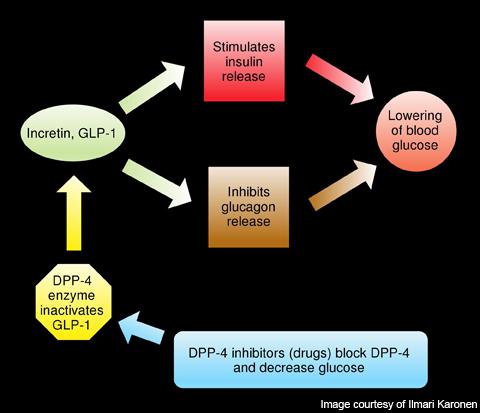 Global Dipeptidyl Peptidase-4 (DPP-4) Inhibitors Market Research Report 2017