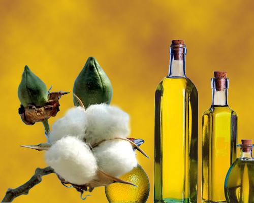 Hydrogenated Cottonseed Oil