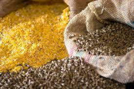 Animal Feed Enzymes Market