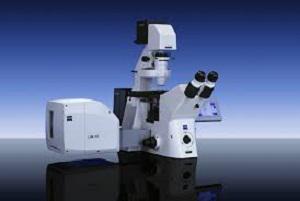 Confocal Laser Scanning Microscopy