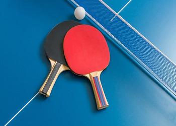 Global Table Tennis Paddles Market 2017 Key Players - Franklin