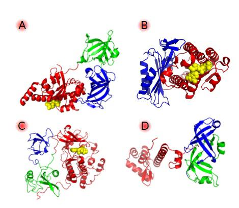 Functional Protein Market Growth due to Low Consumer Exposure