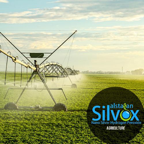 Broad Spectrum Disinfectant for Agriculture - Alstasan Silvox