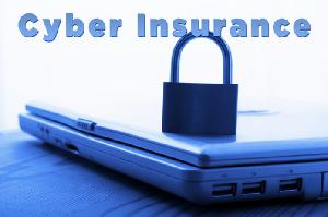 Cyber (Liability) Insurance Market 2017 Lloyd, Berkshire Hathaway, AXA, Allianz, Japan Post Holdings, Assicurazioni Generali, Prudential Plc, China Life Insurance, Ping An Insurance, Legal & General Group, Munich Re, Cyence, Lemonade, Oscar, PolicyGenius,