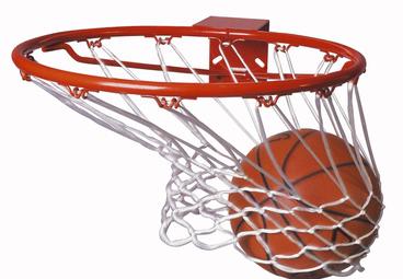 Global and China Basketball Industry Professional Market 2017 -