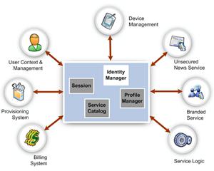 Identity Management Software Market